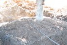 Beachmeretree-transplanting-4.jpg; ?>
